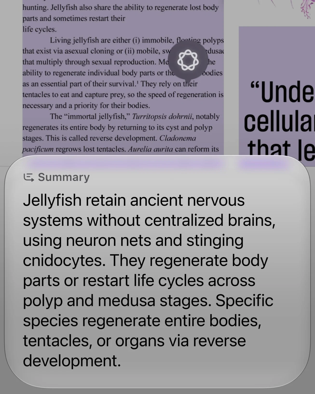 Siri can understand onscreen content and continue a task at the system level · Image: Apple Newsroom